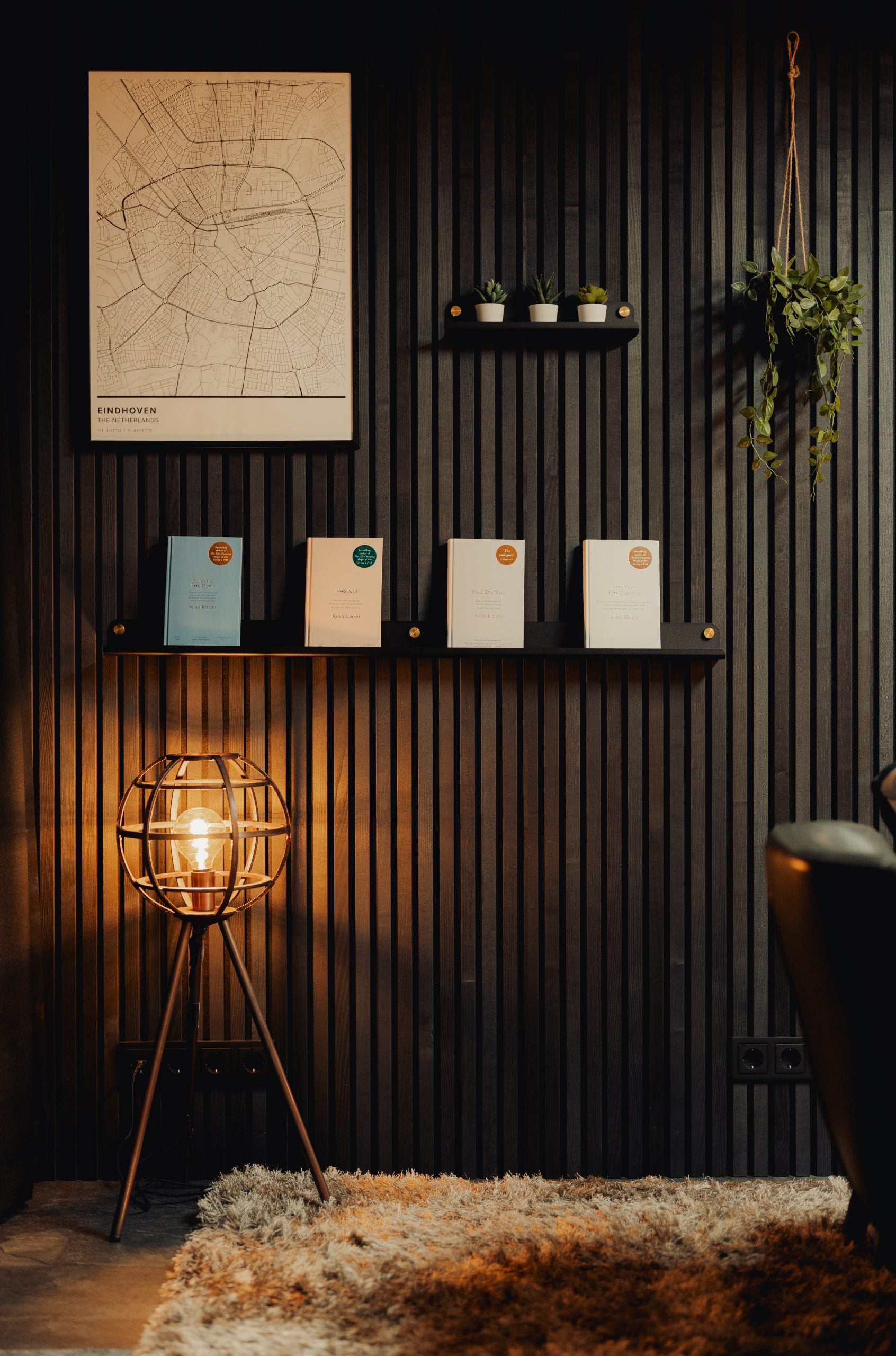 Dark Akupanel acoustic slat wall panels with framed map, two shelves, floor lamp and hanging plant